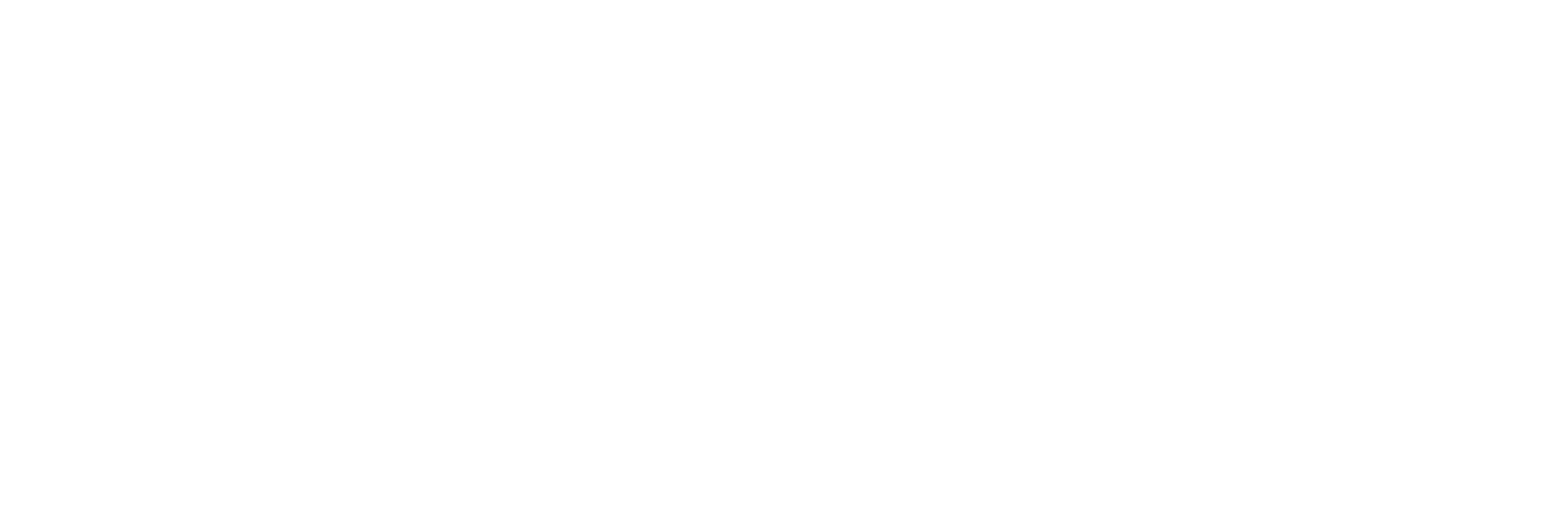 Terra Stericare